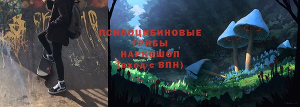 хмурый Балахна