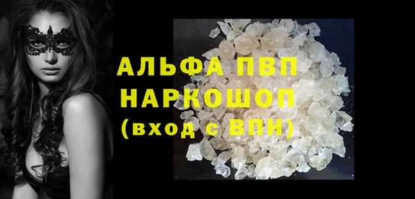 PSILOCYBIN Баксан