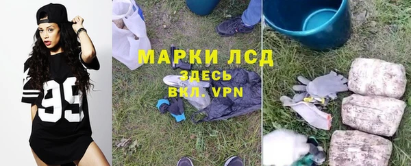 дурь Аркадак