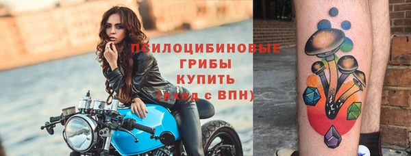 дурь Аркадак