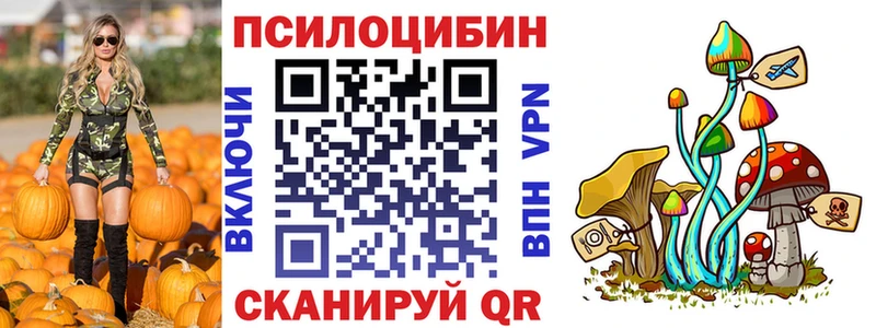 Псилоцибиновые грибы Cubensis  сколько стоит  Козельск 